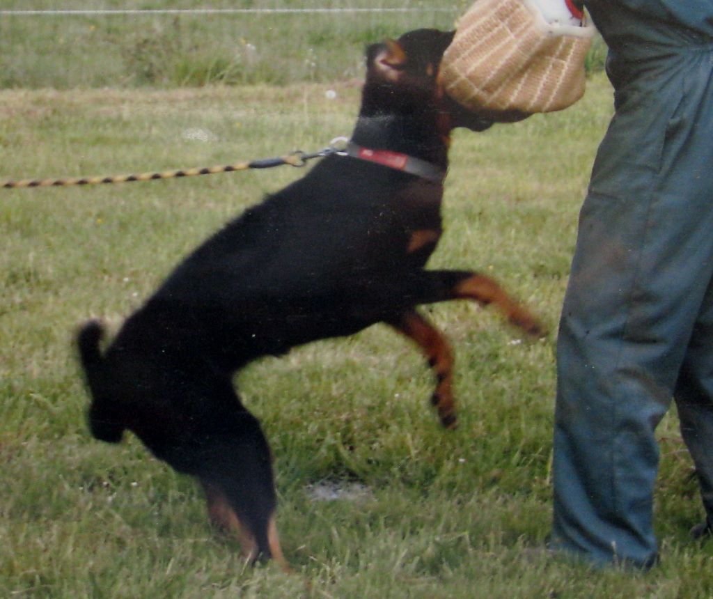 Avril De Cherfagana